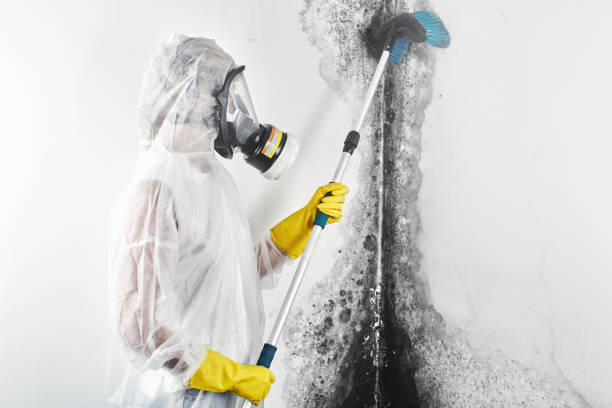 Mold Remediation for Rental Properties in Quinlan, TX